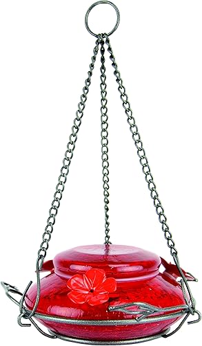 Natures Way Bird Products MHF4 - Comedero de colibríes soplado a mano capacidad de 16 onzas rojo