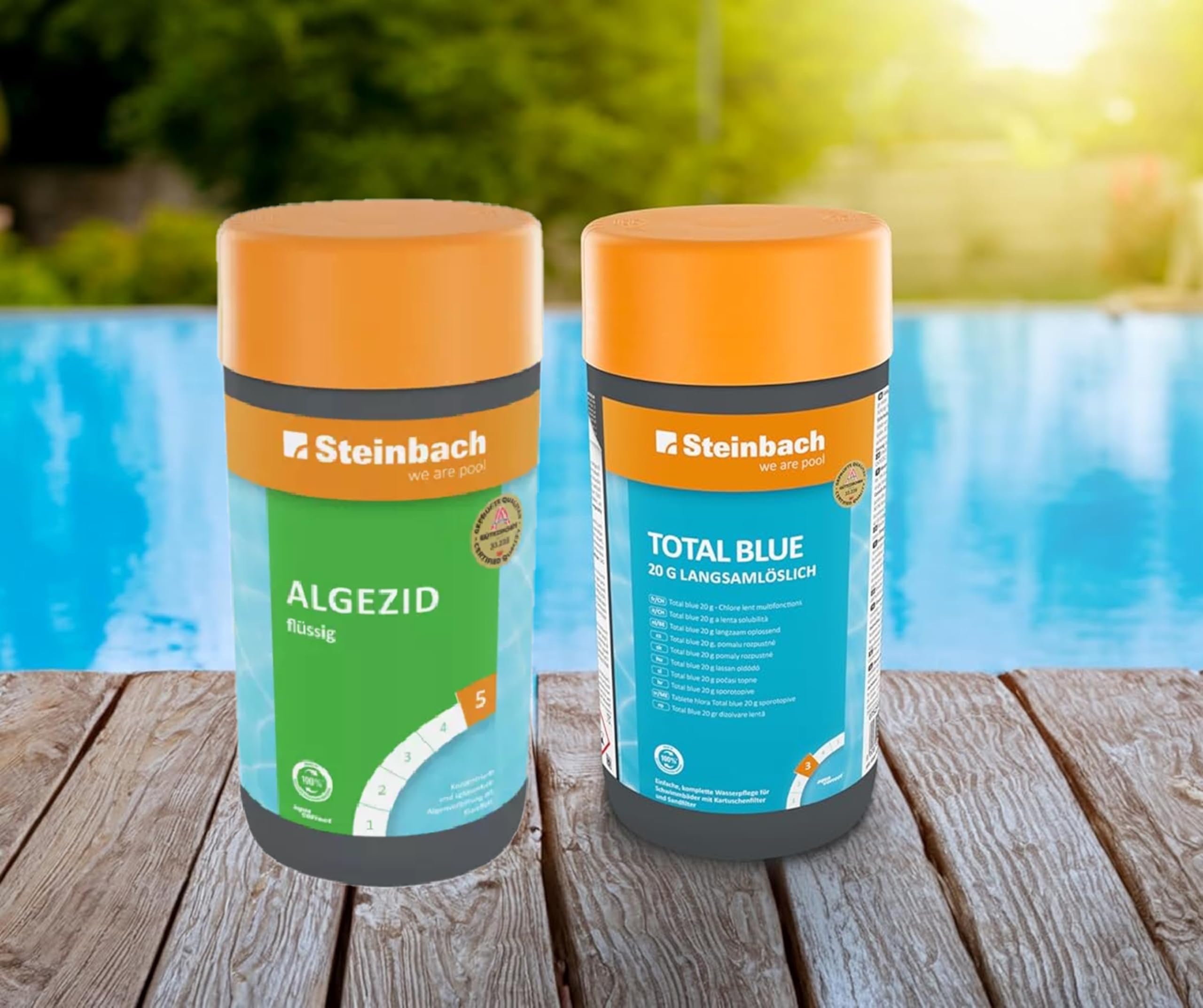 Steinbach | Poolpflege Starter Set | inkl. Algezid, Total Blue 20g, 50er Teststreifen Kit, Dosierschwimmer & Testkit für pH-Wert/Chlor | ideal zur Wasserkontrolle | Poolwasser sauber & kristallklar