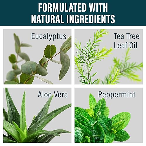 Miniatura 4 de NUVADERMIS Crema para pies con aceite de árbol de té, crema de recuperación eficaz para pies secos y agrietados, pie de atleta, tiña y picazón en la