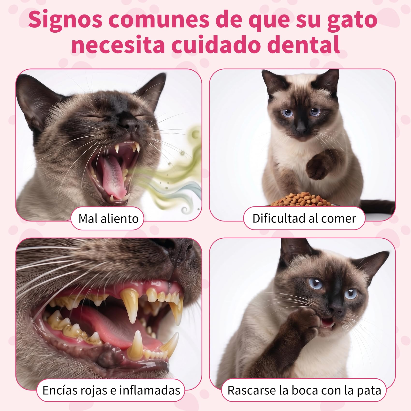 Pasta de Dientes Enzimática para Gatos - Kit Dental con Cepillo, Gel Sin Perfume contra la Placa y Mal Aliento, Previene el Sarro - 30g