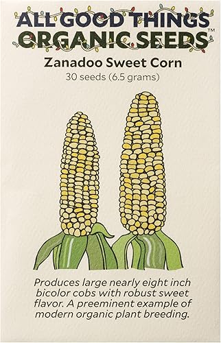 All Good Things - Semillas de maíz dulce Zanadoo orgánicas, paquete de 30, semillas tradicionales para plantar verduras, suministros de jardinería,