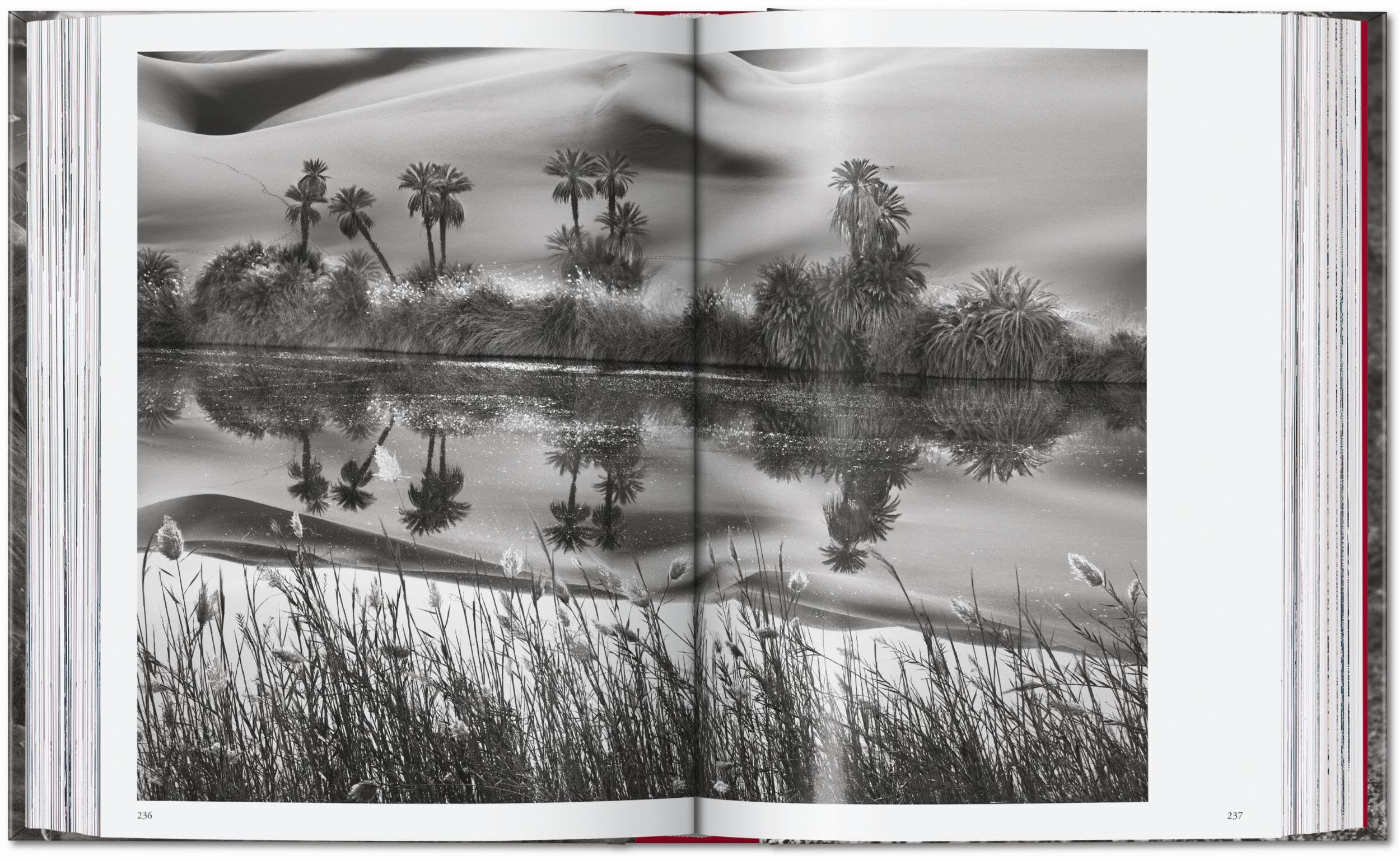 Sebastião Salgado: Genesis. 45th Ed.