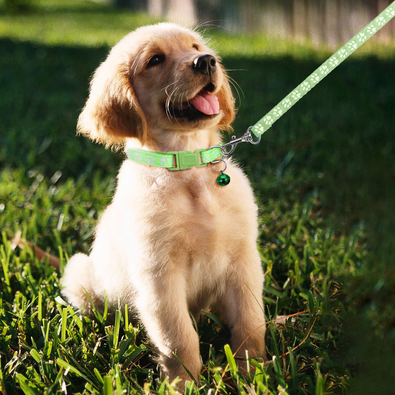 36PCS Quick Release Buckle Adjustable Puppy Paw Print Collar and Leash Set, Dog Collar and Leash Set, Soft Nylon Material, Suitable for Small Dogs, Cars and Pets
