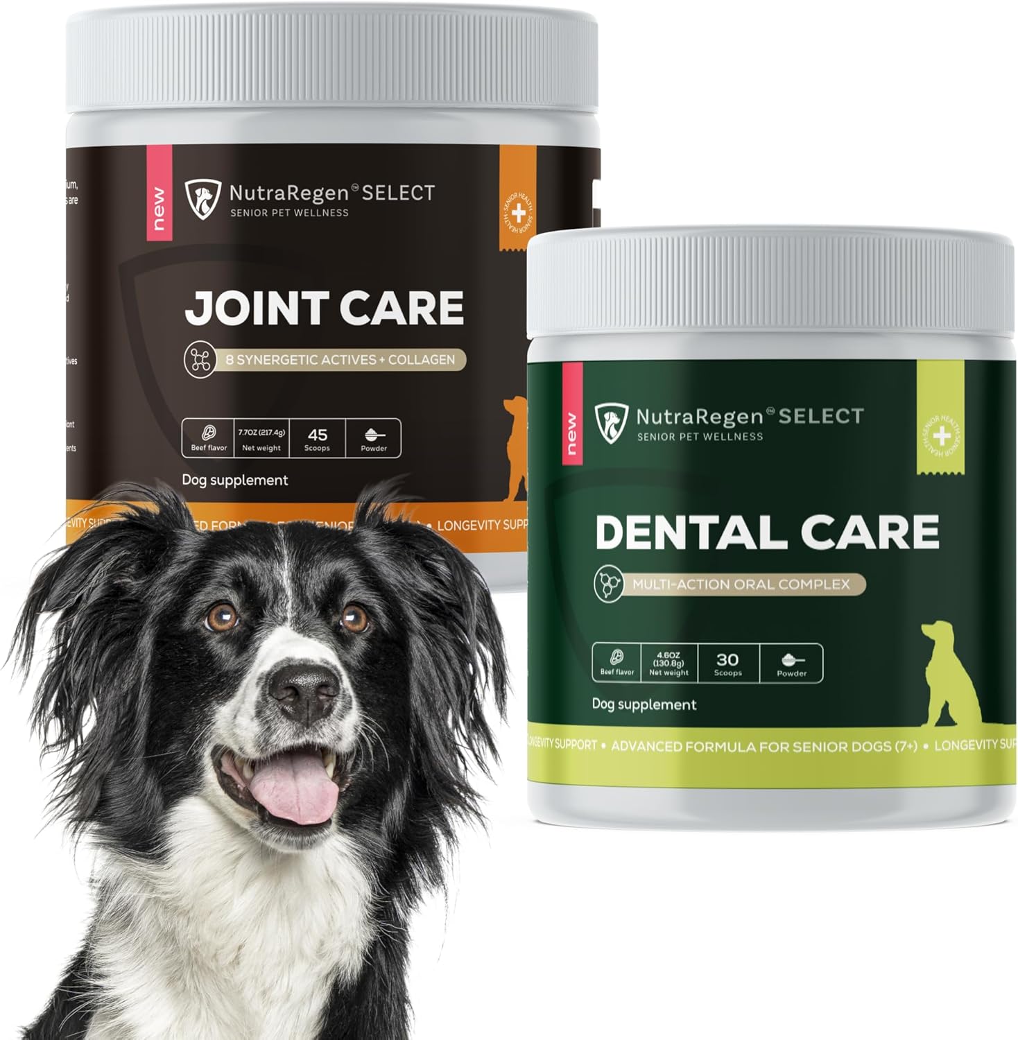 NutraRegen Select Senior Dog Dental Powder and Joint Supplements Bundle | Oral and Mobility Support Powders for Aging Dogs | 75 Scoops, 12.3 oz