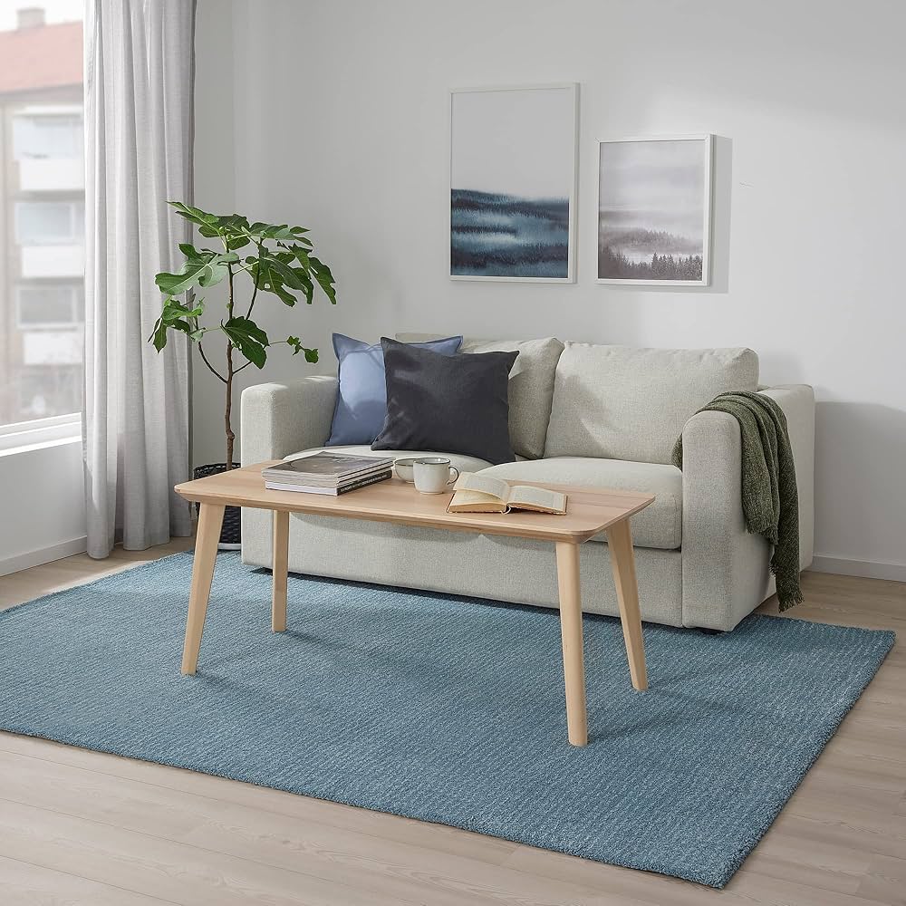 IKEA ラグ LANGSTED 170×240 Ikea LANGSTED rug, low pile, 170x240 cm, light blue: Buy