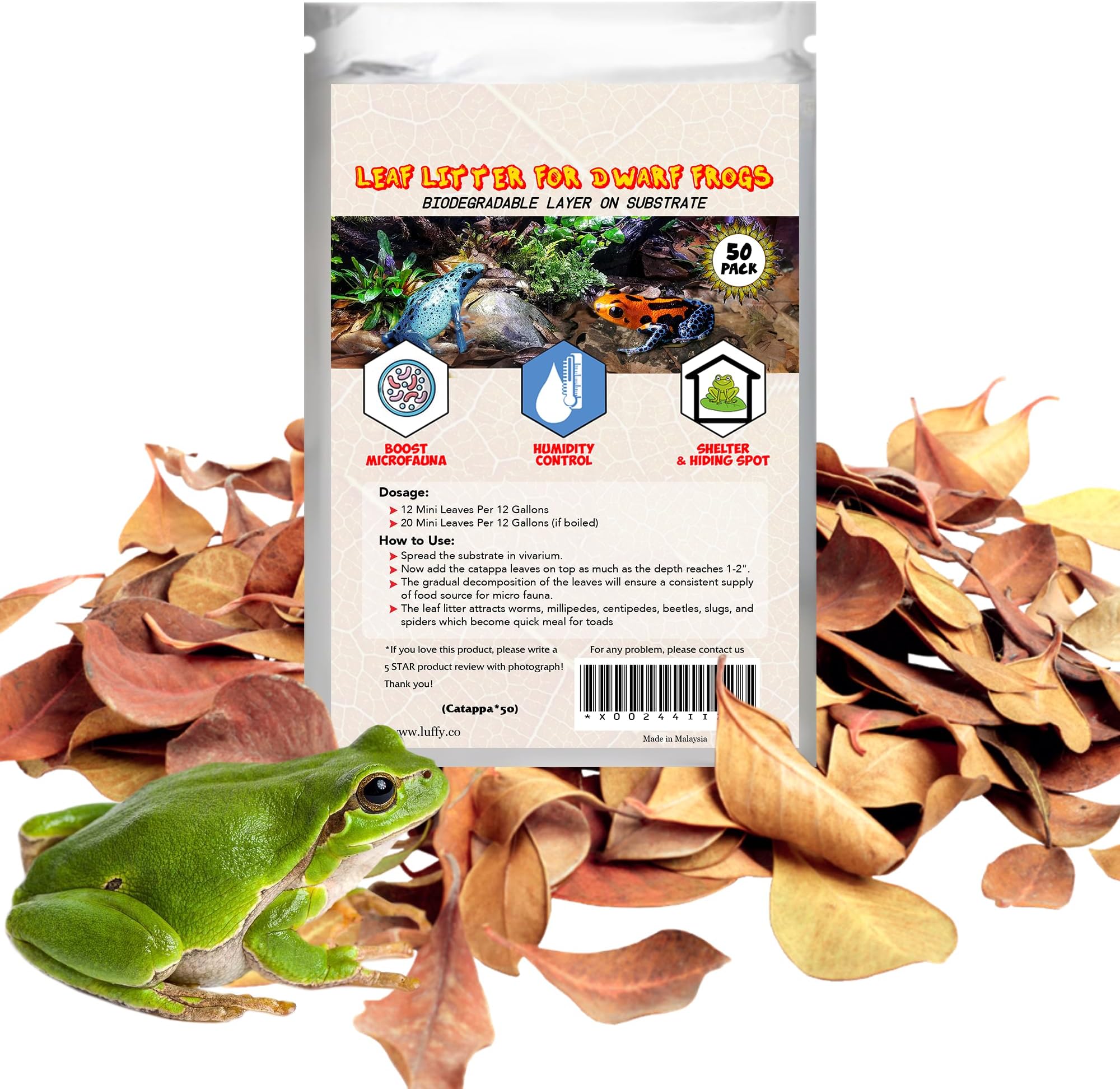 SunGrow Dwarf Frog Mini Catappa Leaves (50 Pc) - Tannin Helps Remove Ammonia, Lower pH - Leaf Litter Indian Almond Leaves, Aquarium Water Treatment, Decor Accessories