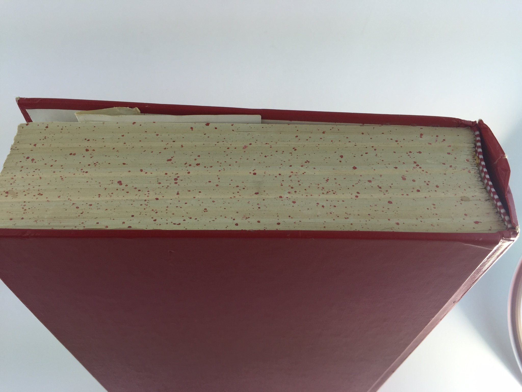 Webster's New World Dictionary and Thesaurus, 2nd Edition - Image 5