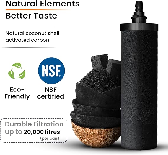 PHOENIX GRAVITY 8 Litre NSF Sertifikalı AISI 304 Paslanmaz Çelik Su Filtresi, 2 Akıllı Karbon Filtre Kartuşu, 2 Florür Giderici Son İşlem Filtre Kartuşu, Paslanmaz Çelik Ayak ve Musluk Dahil