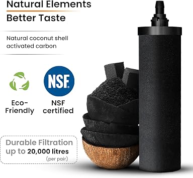 PHOENIX GRAVITY 8 Litre NSF Sertifikalı AISI 304 Paslanmaz Çelik Su Filtresi, 2 Akıllı Karbon Filtre Kartuşu, 2 Florür Giderici Son İşlem Filtre Kartuşu, Paslanmaz Çelik Ayak ve Musluk Dahil