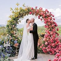 Vista 5 de Asee'm Arco de Boda Dorado de 7.2 Pies Soporte de Fondo Redondo Marco Circular Grande de Metal para Globos Florales para Decoraciones de Fiesta