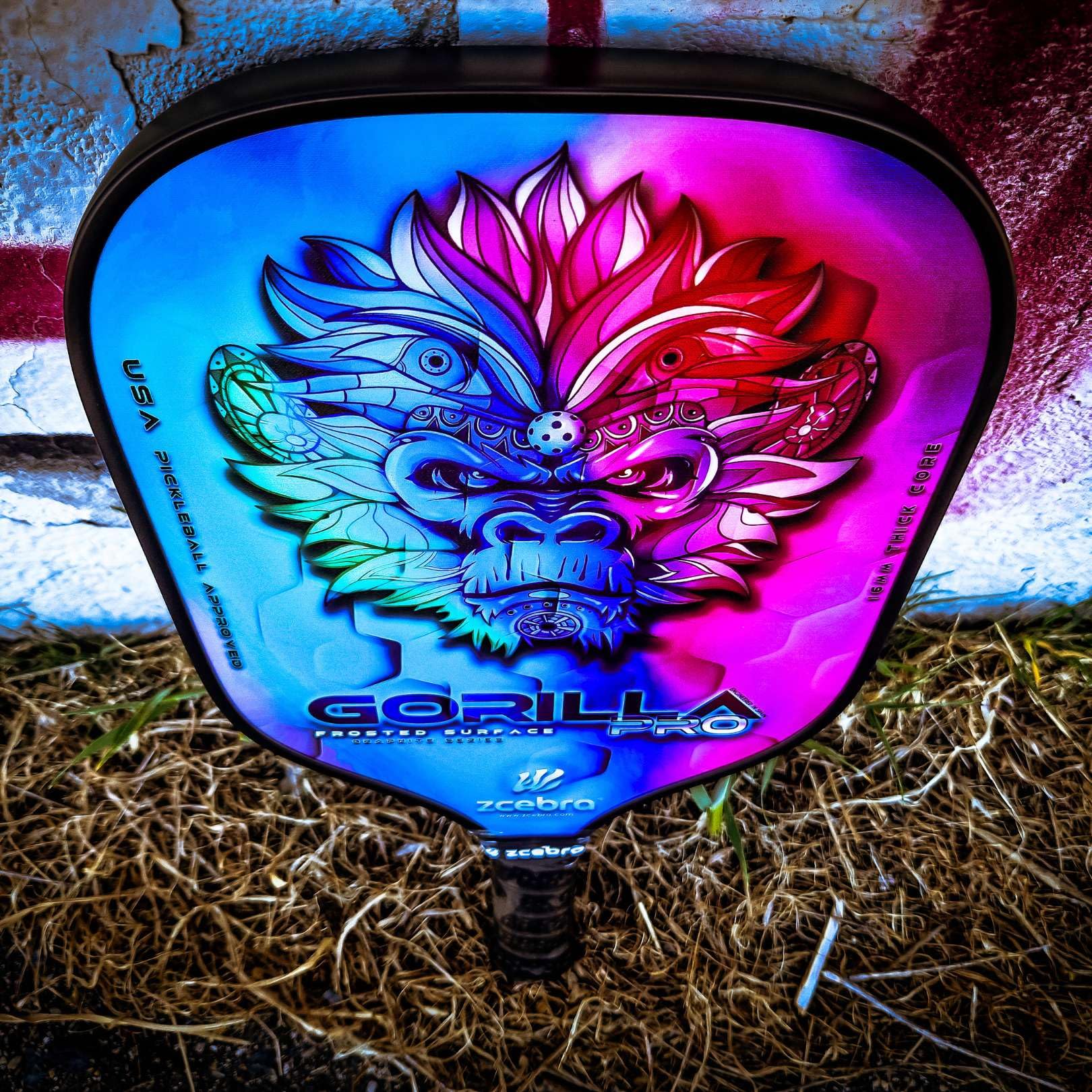 Pickleball Paddle Graphite - Raquette en Fibre de Carbone Noyau de 16 mm de Panneau d'abeille polypropylène Texture Frosted Rugosa - Set Housse néoprène - Gorilla Pro Rainbow