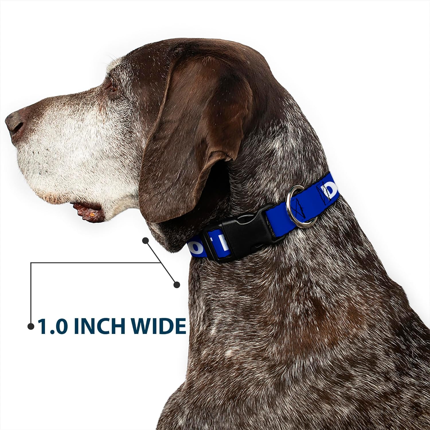 Buckle-Down Dog Collar Plastic Clip Pet Quote Do Not Feed Navy White 16 to 23 Inches 1.5 Inch Wide