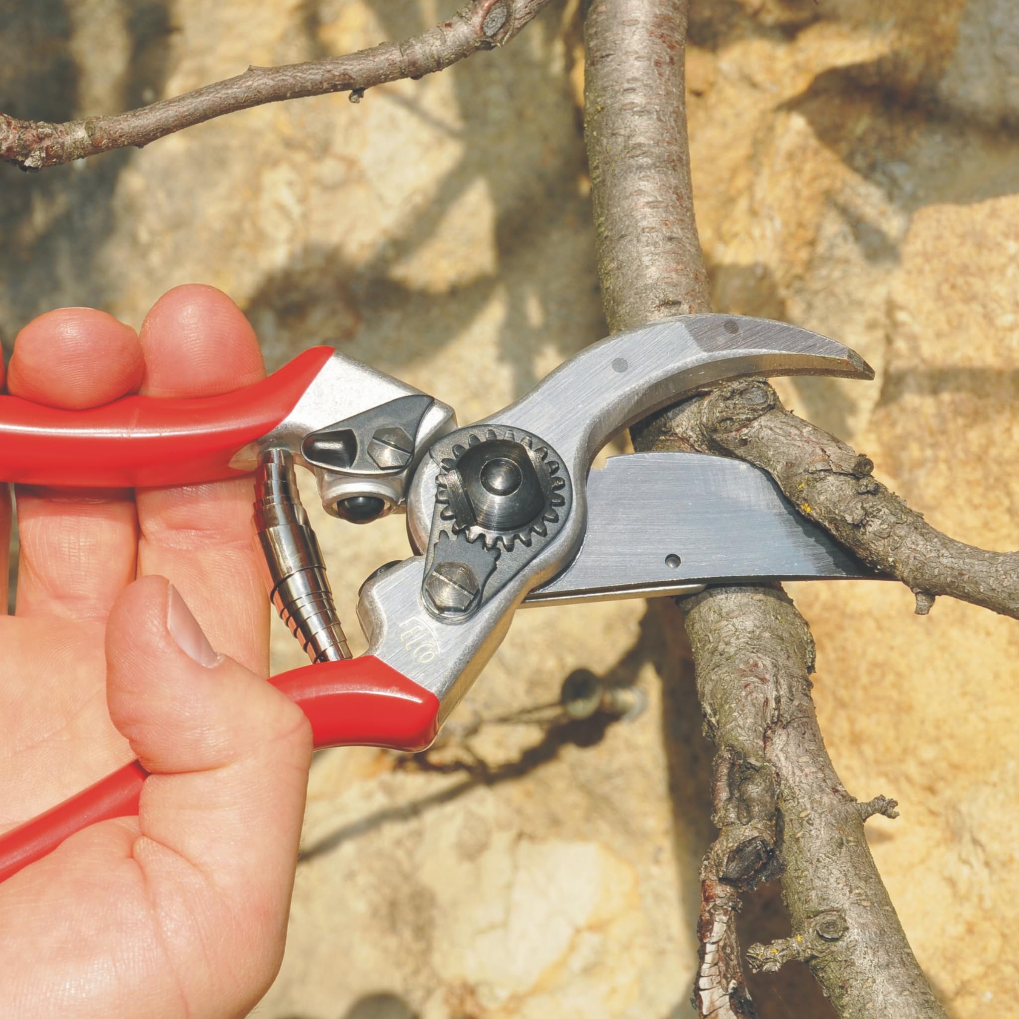 FELCO 2 sécateur bypass professionnel droitier, lame acier trempé 41 mm, poignées aluminium forgé, outil de taille robuste pour main moyenne à grande, coupe nette 25 mm, fabrication suisse