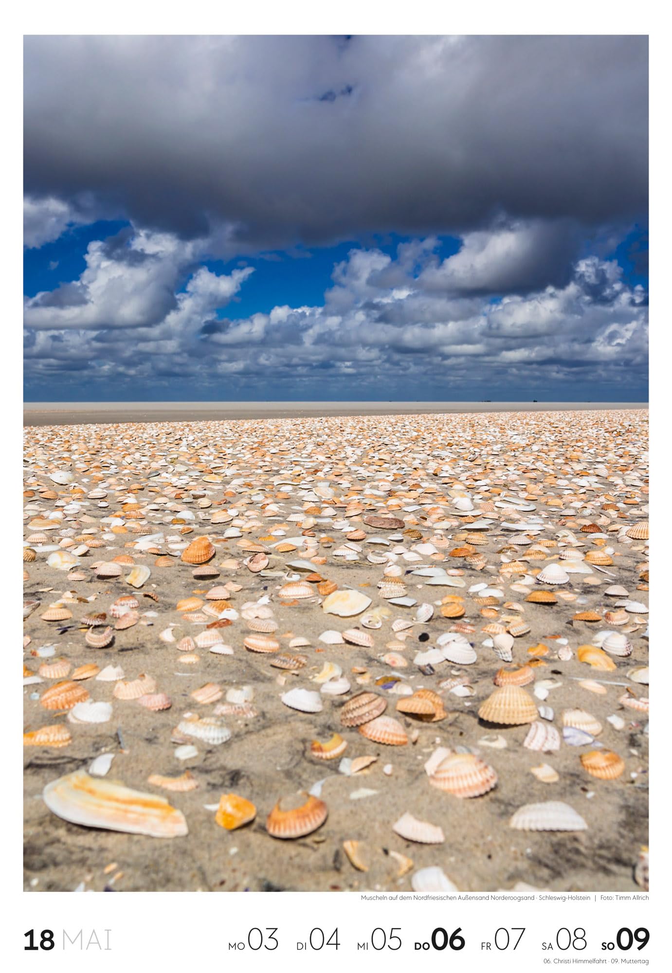Küste Wochenkalender 2027: Meeres-Kalender mit 53 großformatigen Bildern im Hochformat (29x42 cm) | Strände der Ostsee und Nordsee in Deutschland