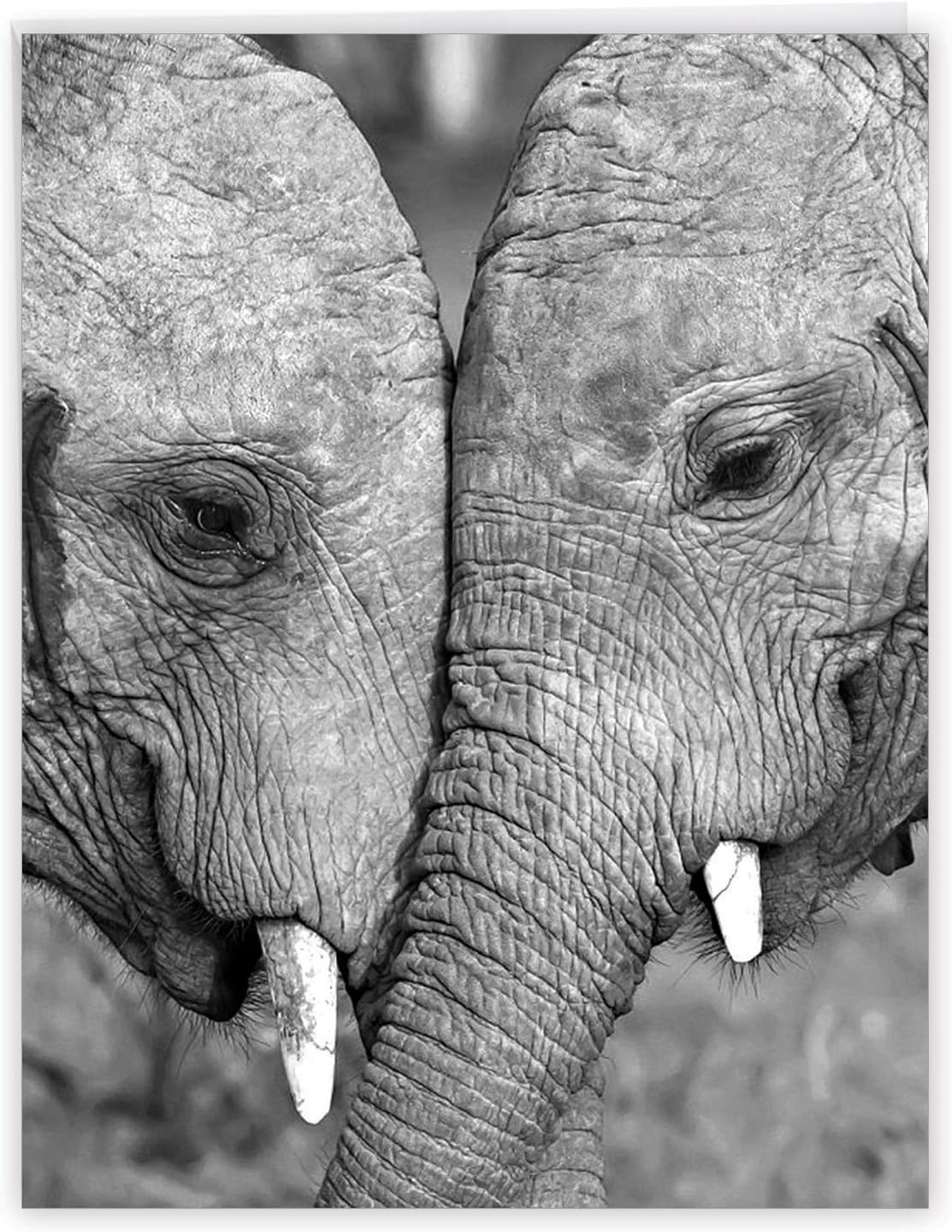 The Best Card Company, Happy Anniversary, Wedding Anniversary Jumbo Greeting Card (8.5 x 11 Inch), Love