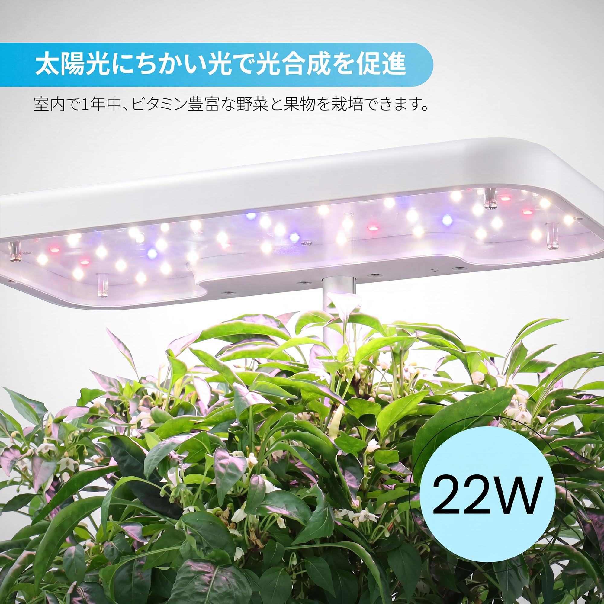Amazon.co.jp: iDOO 水耕栽培キット 水耕栽培 セット 室内 植物育成LED