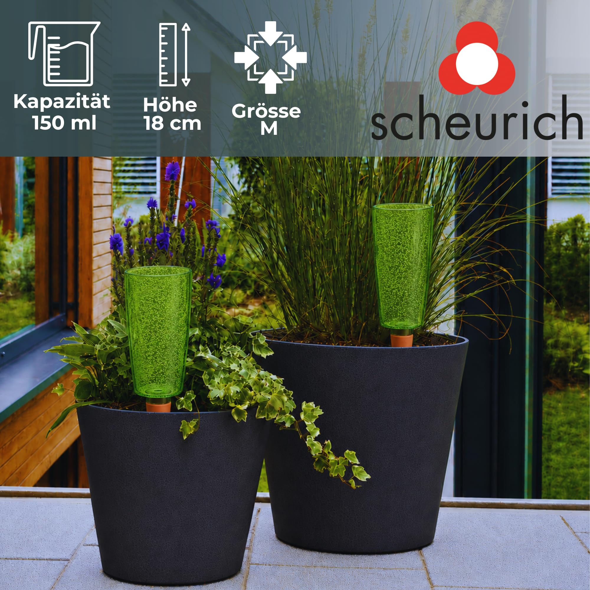 Scheurich Copa M Bewässerung Wasserspender Bewässerungskugel grün transparent (8, Grün)