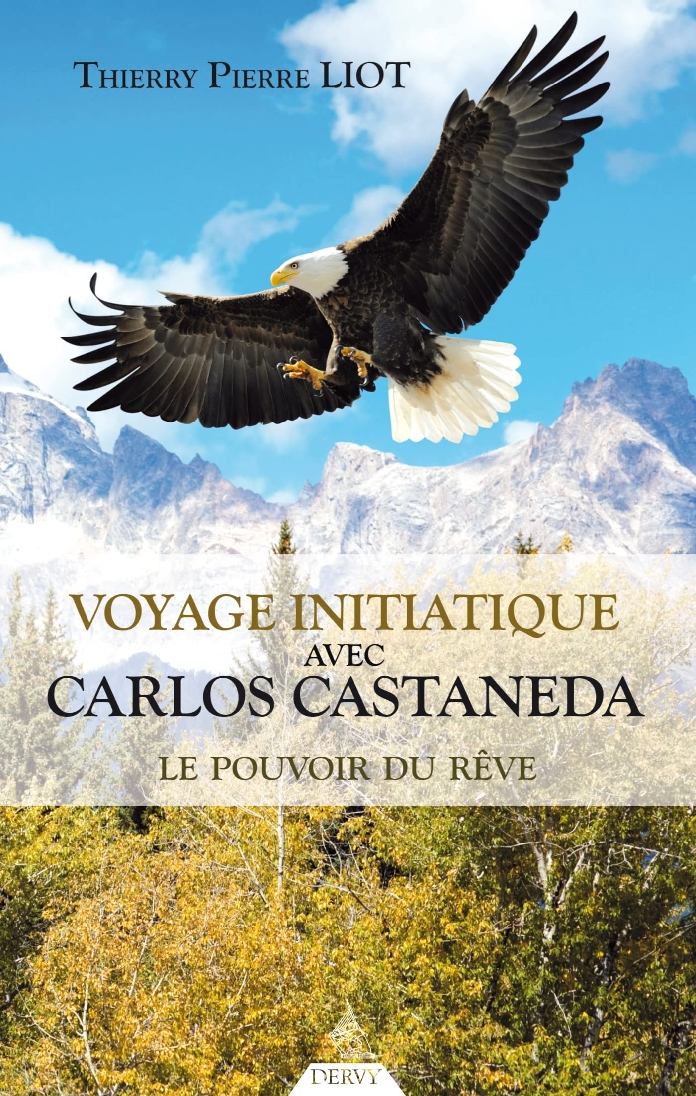 Voyage initiatique avec Carlos Castaneda - Le pouvoir du rêve (French Edition)
