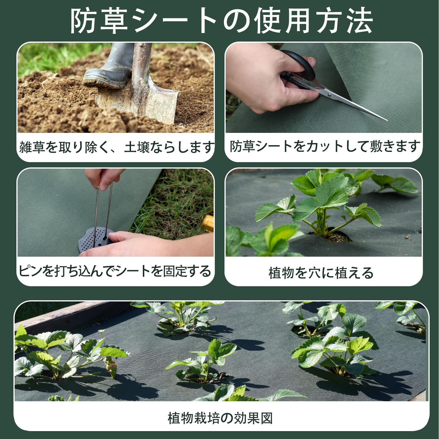 Amazon | 【改良版】防草シート 除草シート 1m×50m ぼうそうシート 高