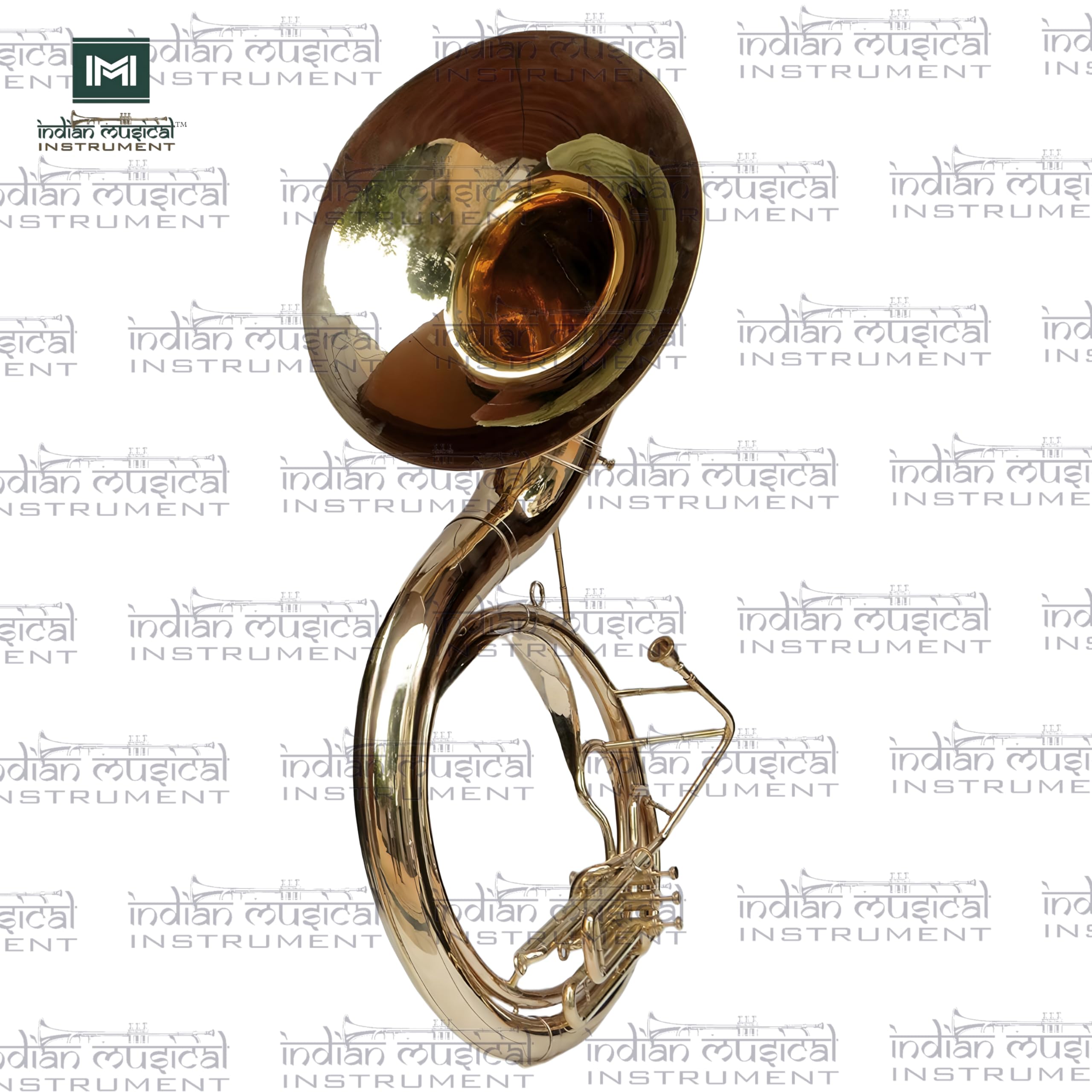 Indisches Musikinstrument Chrom Finish 61 cm King Size Sousaphon Messing BB Big Bell Tuba mit Mundstück und Tragetasche (Gold)