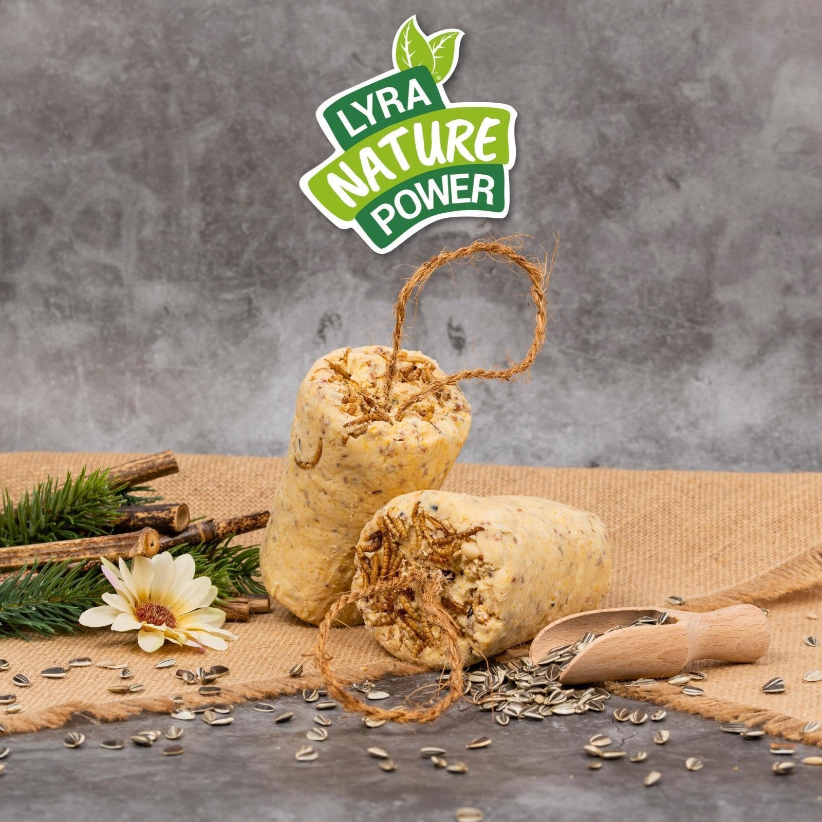 Lyra Pet® 3 x 12 STK. Protein Boost Körner Riegel mit Mehlwürmern fettreich | Proteinreiches Vogelfutter für Sommer & Winter - Premium Erdnussbutterriegel - Fettreicher Energiespender für Wildvögel