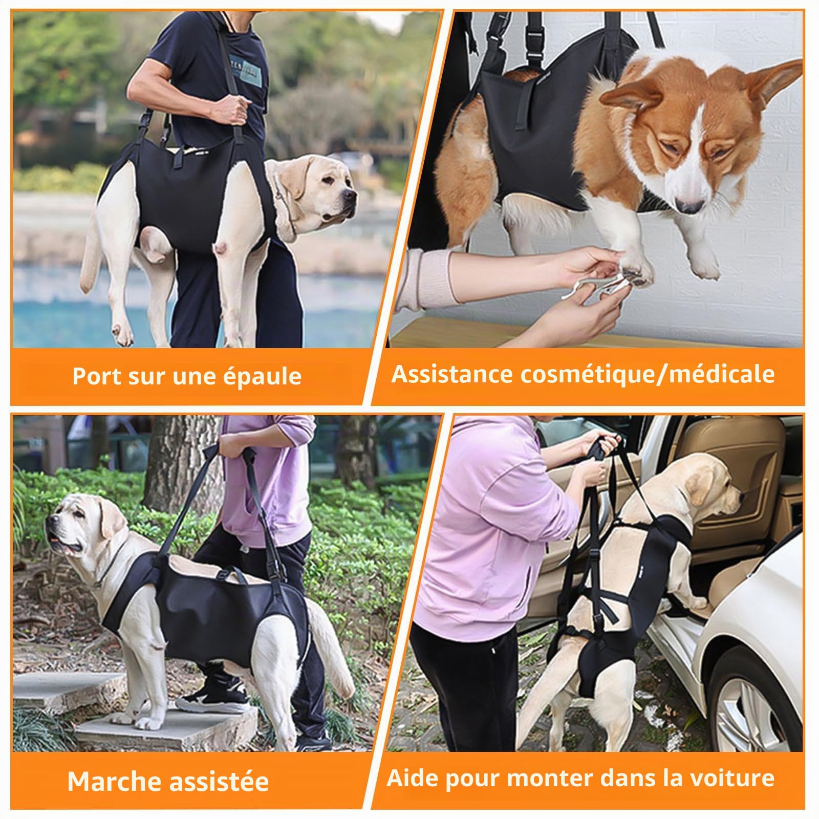 YOUNGSAY Harnais de Levage pour Chien, Harnais Grand Chien Handicapé, Réglable Harnais de Soutien pour Chiens, pour Chiens Handicapés, Aveugles, Blessés ou Âgés (Noir, L)