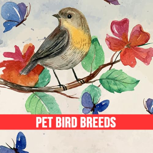 Pet Bird Breeds