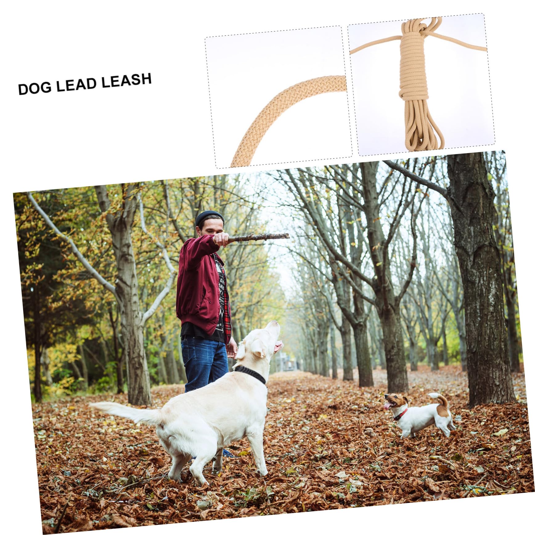 Guinzaglio da Addestramento Extra lungo 10m per Cani Grandi