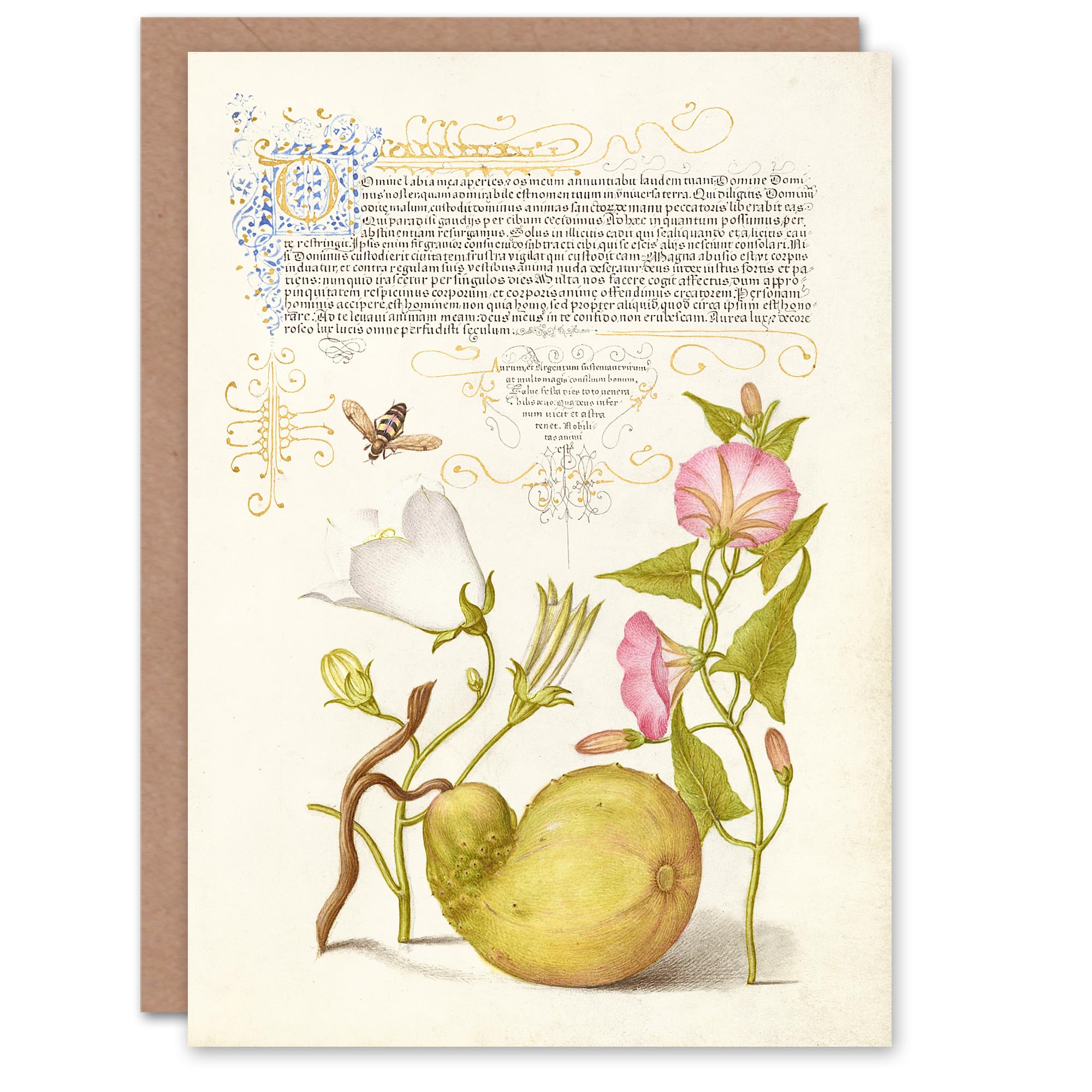 Artery8 Model Book of Calligraphy Art Card Beetle Flowers and Gourd