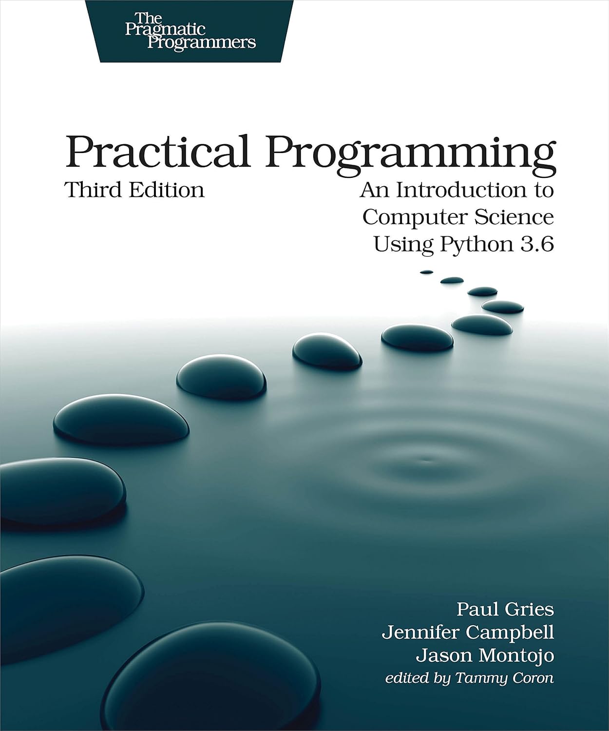 Practical Programming: An Introduction to SPuter Science Using Python 3 ...