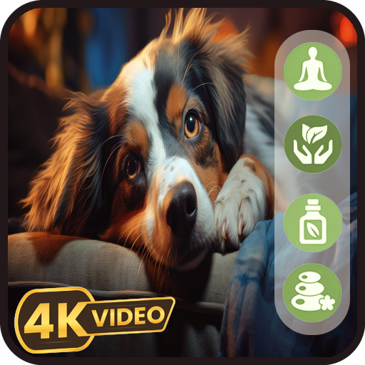 Linderung von Angstzuständen bei Hunden – Beruhigende Haustiermusik für Hunde