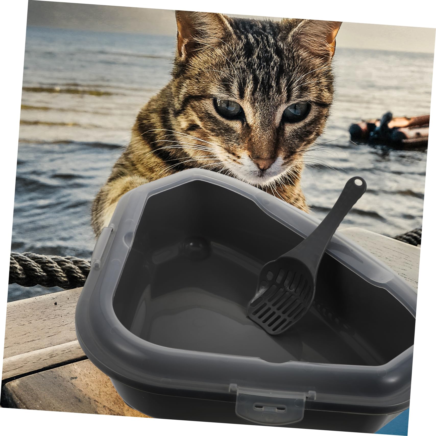 Yardwe Große Dreieckige Katzentoilette mit Spritzschutz Abnehmbarem Design und Halbgeschlossener Pp Katzenstreu Fall für Hygienische Katzenhaltung