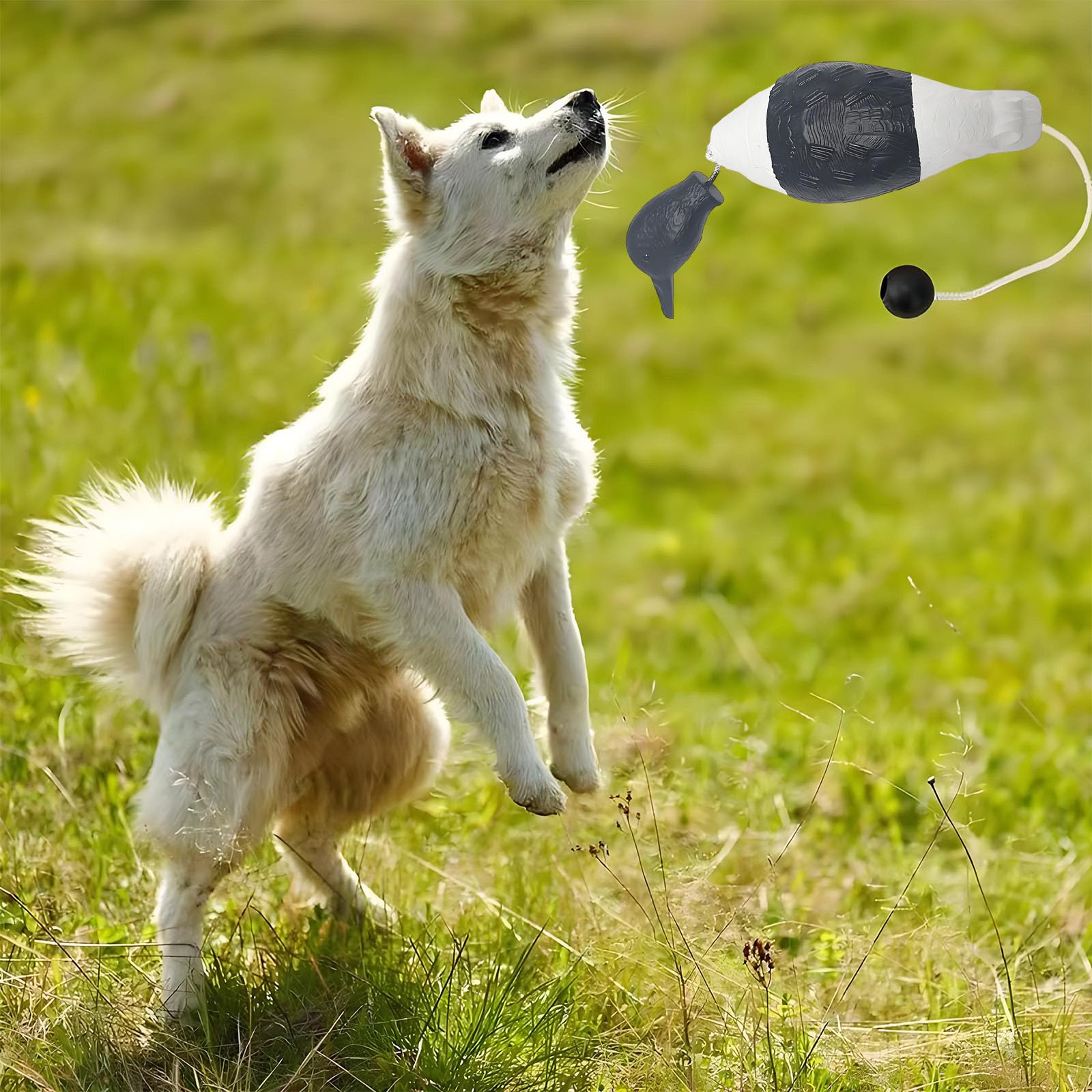Dog Training Dummy,Dummy per Cani,Accessori per Cani da Caccia,Paraspruzzi Fittizio di Allenamento Cane,Gioco Galleggiante per Il Riporto e l'allenamento in Acqua (Bianco e Nero)