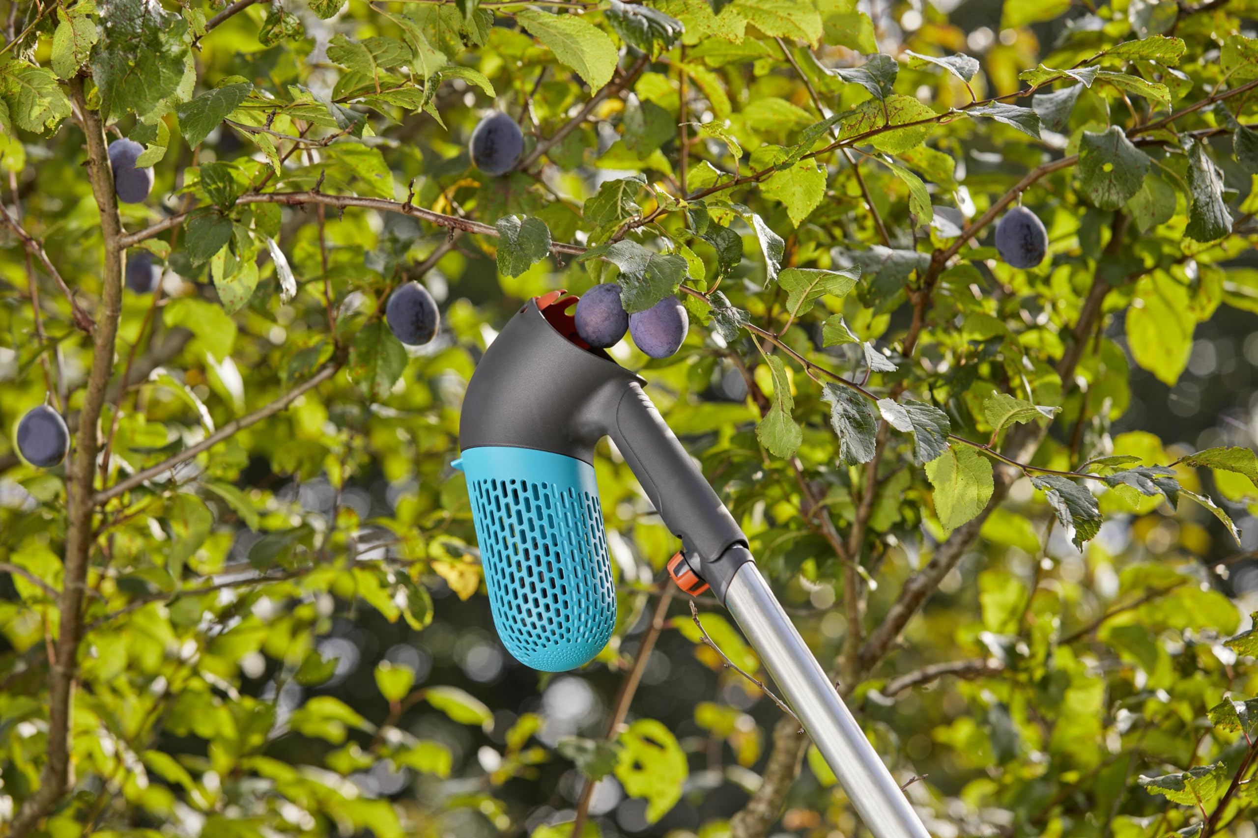 Gardena Raccogli-frutti di bosco combisystem: ausilio per il raccolto con cesto integrato, accessorio girevole per frutti di bosco o frutta, impugnatura integrata, piedini da appoggio (17400-20)