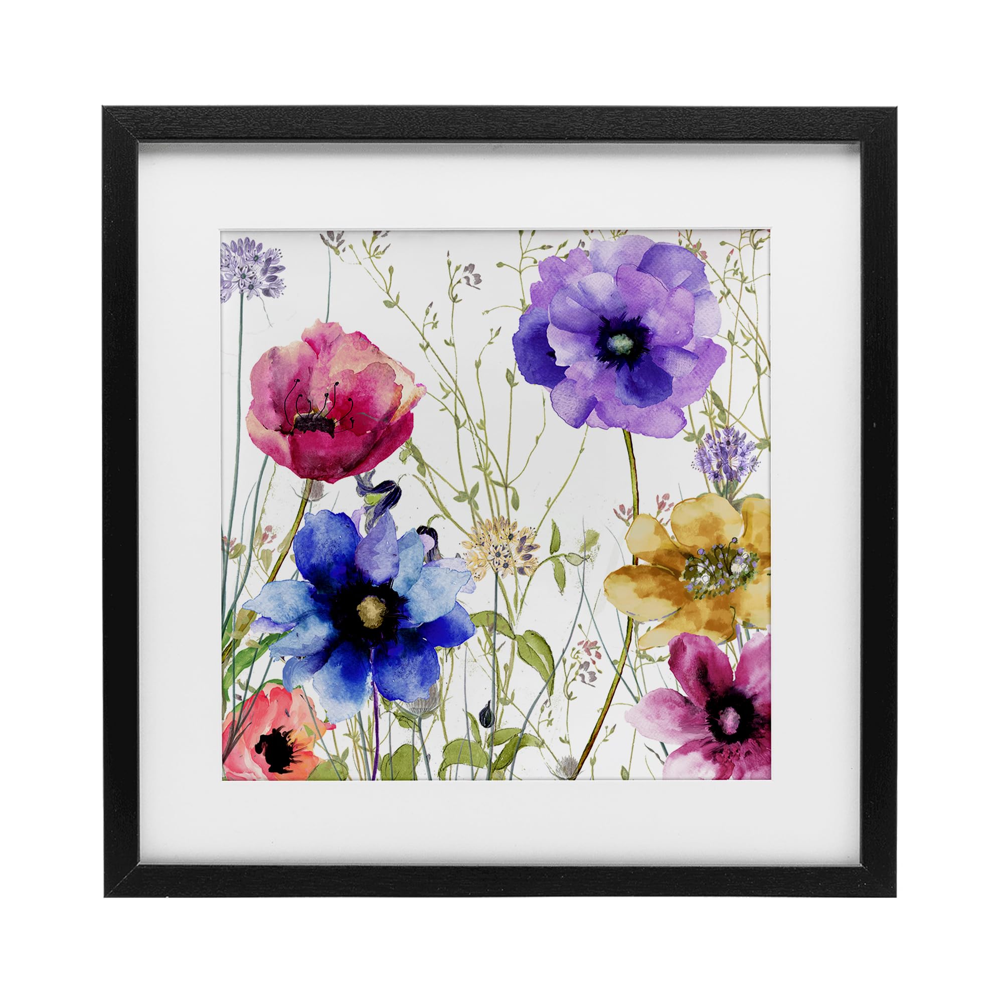 Affiche encadrée fleurs de jardin Sasha Stupell Industries cadre noir chic