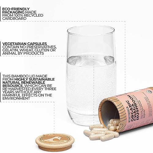 Miniatura 2 de Suplemento orgánico de hongos Chaga (extracto de Inonotus) 200 cápsulas vegetales - Combate la inflamación y apoya la salud de las articulaciones.