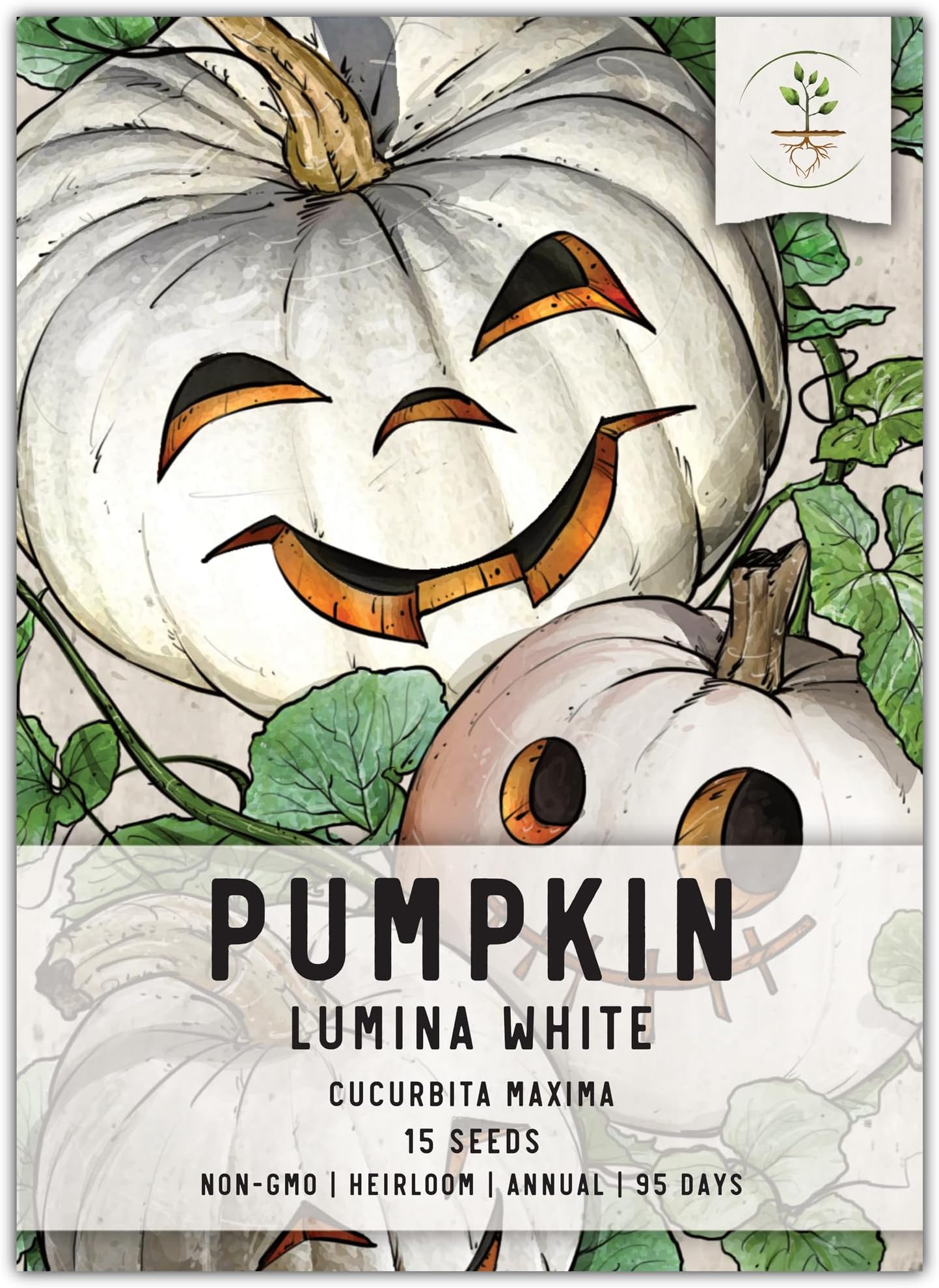 Pumpkin Seeds for Planting to Plant Connecticut Fields Pumpkins Large 200 Count