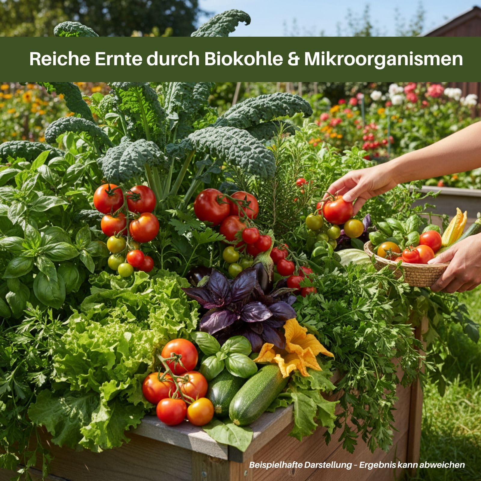 CarboVerte Kaluterra Schwarzerde Terra Preta, 20 L – Premium Pflanzenkohle Bodenverbesserer, Wasser- & Nährstoffspeicher, Nachhaltig, Für Beet, Hochbeet & Topfpflanzen