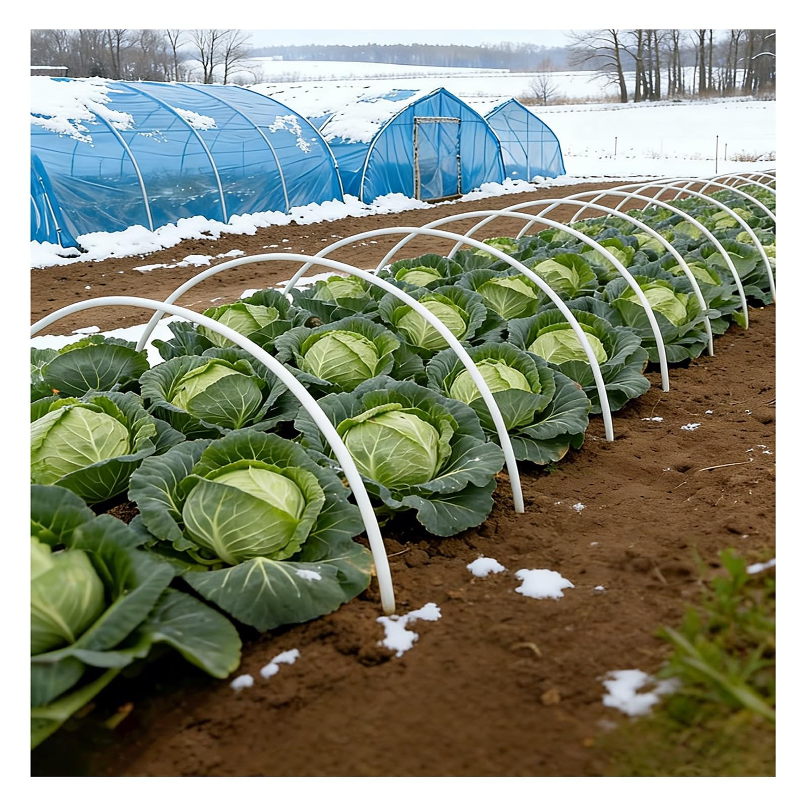 Aros De Fibra De Vidrio para Camas De Jardín, Aros De Invernadero para Túneles De Cultivo De Bricolaje, Marcos De Soporte Flexibles para Estacas De Plantas De Huertos(6mm-220cm/86.6in)