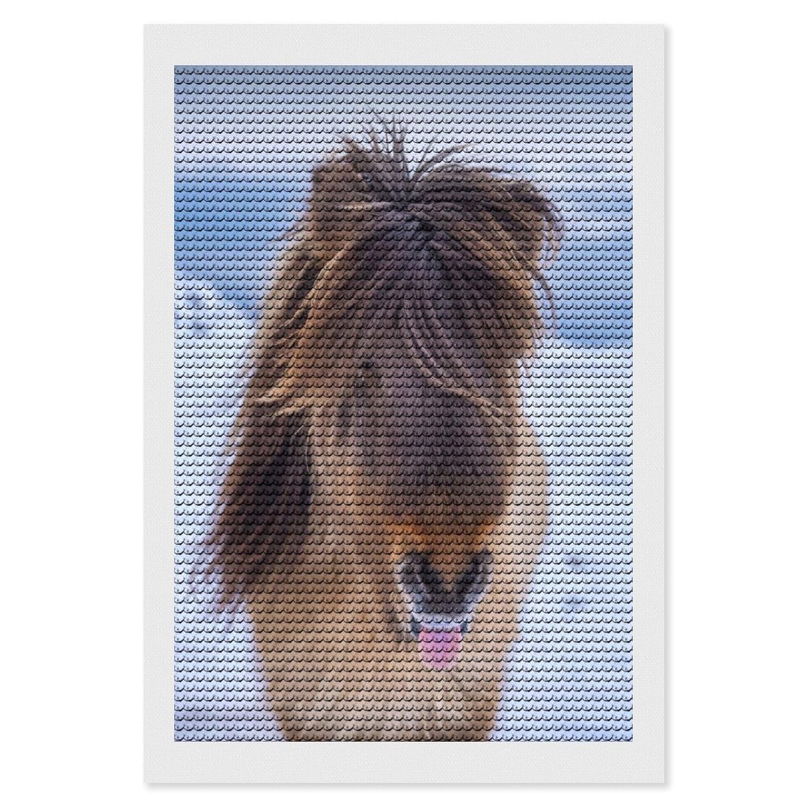 Junmoney Cute Portrait of Horse DIY Diamond Art Canvas Kit 8"x12", Pleasing Wall Art Project, Easy Handmade Project, Living Room Decor
