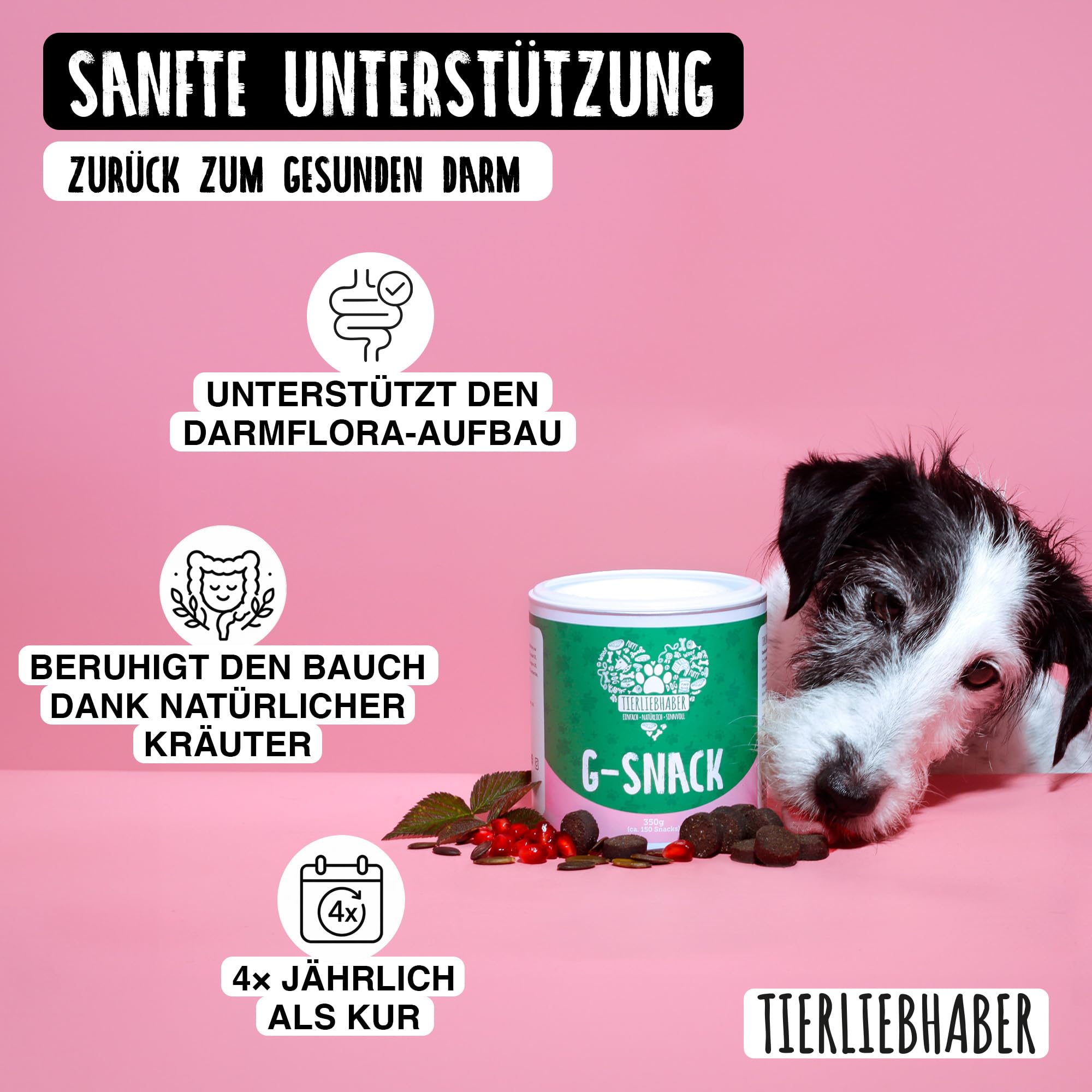 TIERLIEBHABER G-Snack Hundeleckerli – Ergänzung gegen unerwünschte Mitbewohner bei Hunden – Hunde Leckerlis zur Unterstützung bei Hund Darmflora aufbauen – 350g (ca. 115 Drops) Dog Treats