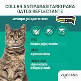 Ver la foto 2