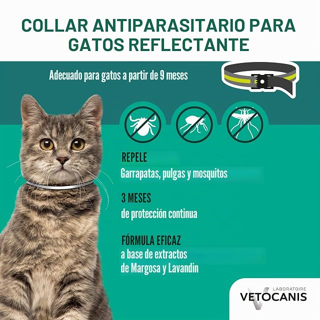Foto 2 de 8 de Vetocanis
