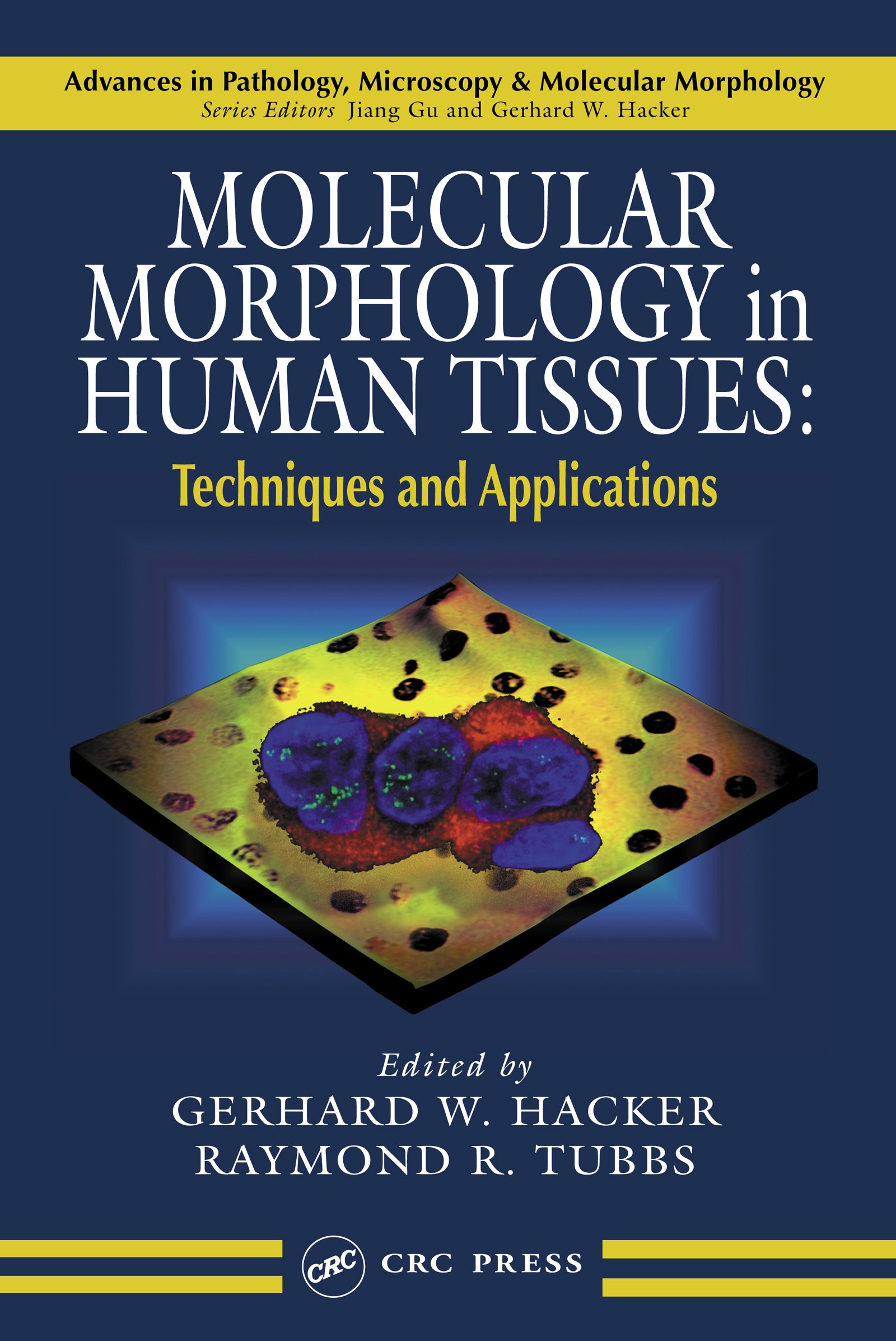 Molecular Morphology in Human Tissues: Techniques and Applications (Advances in Pathology, Microscopy, & Molecular Morphology Book 2)