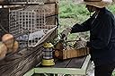 Thumbnail 12