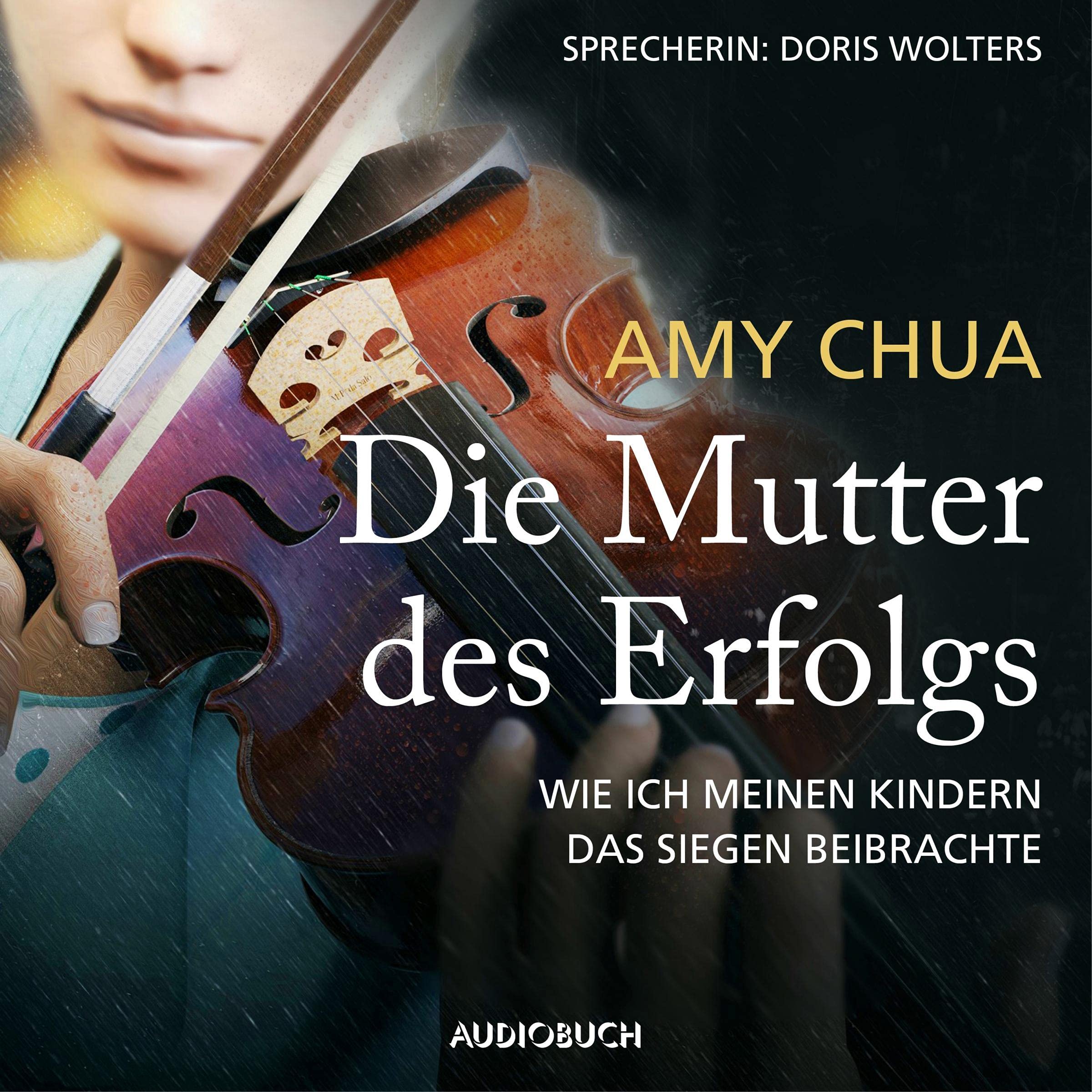 Cover art for Die Mutter des Erfolgs