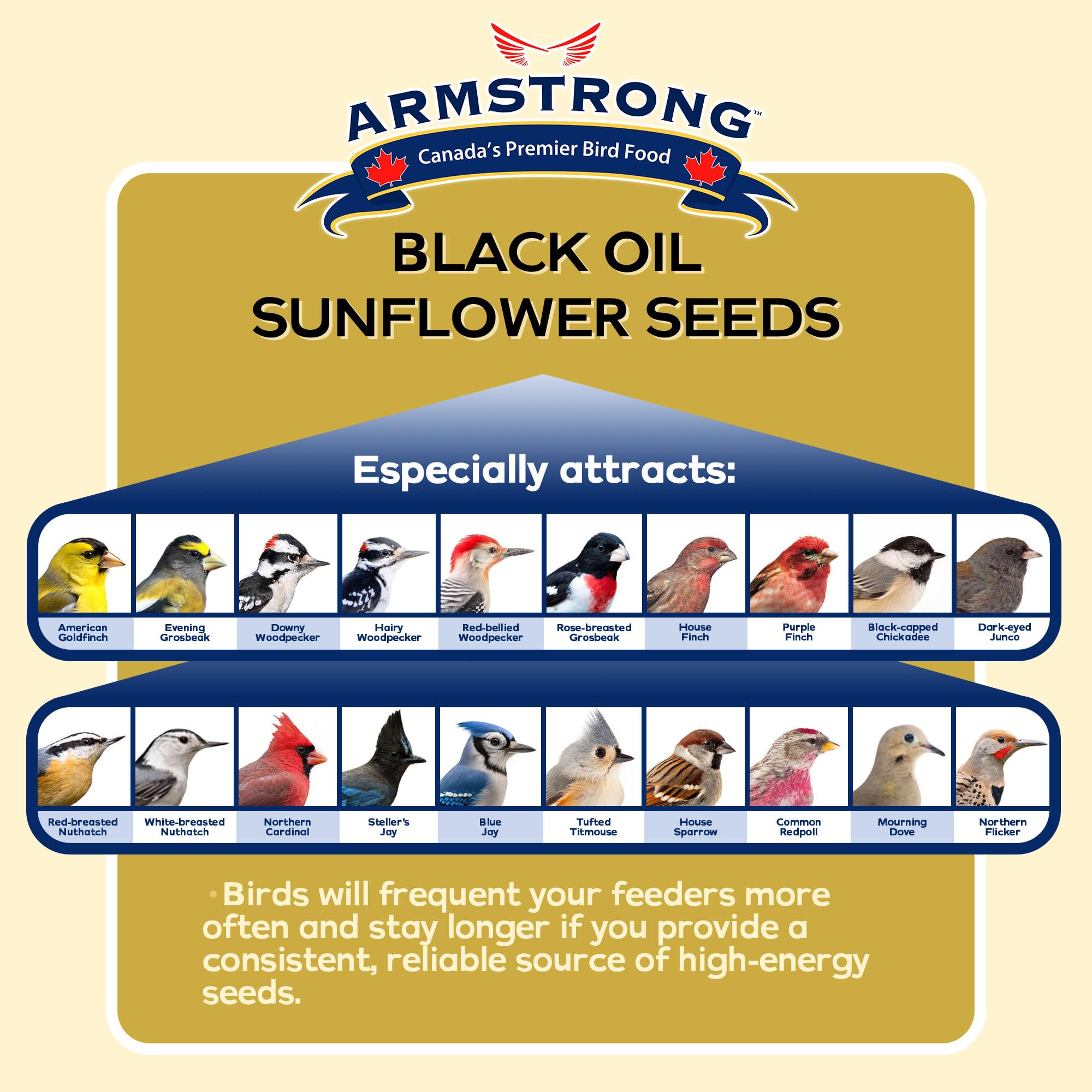 Armstrong - Alimento para pájaros silvestres, aceite negro, semillas de girasol, 25 libras, para cardenales del norte, arrendajos azules y pájaros carpinteros peludos, ideal para comederos exteriores