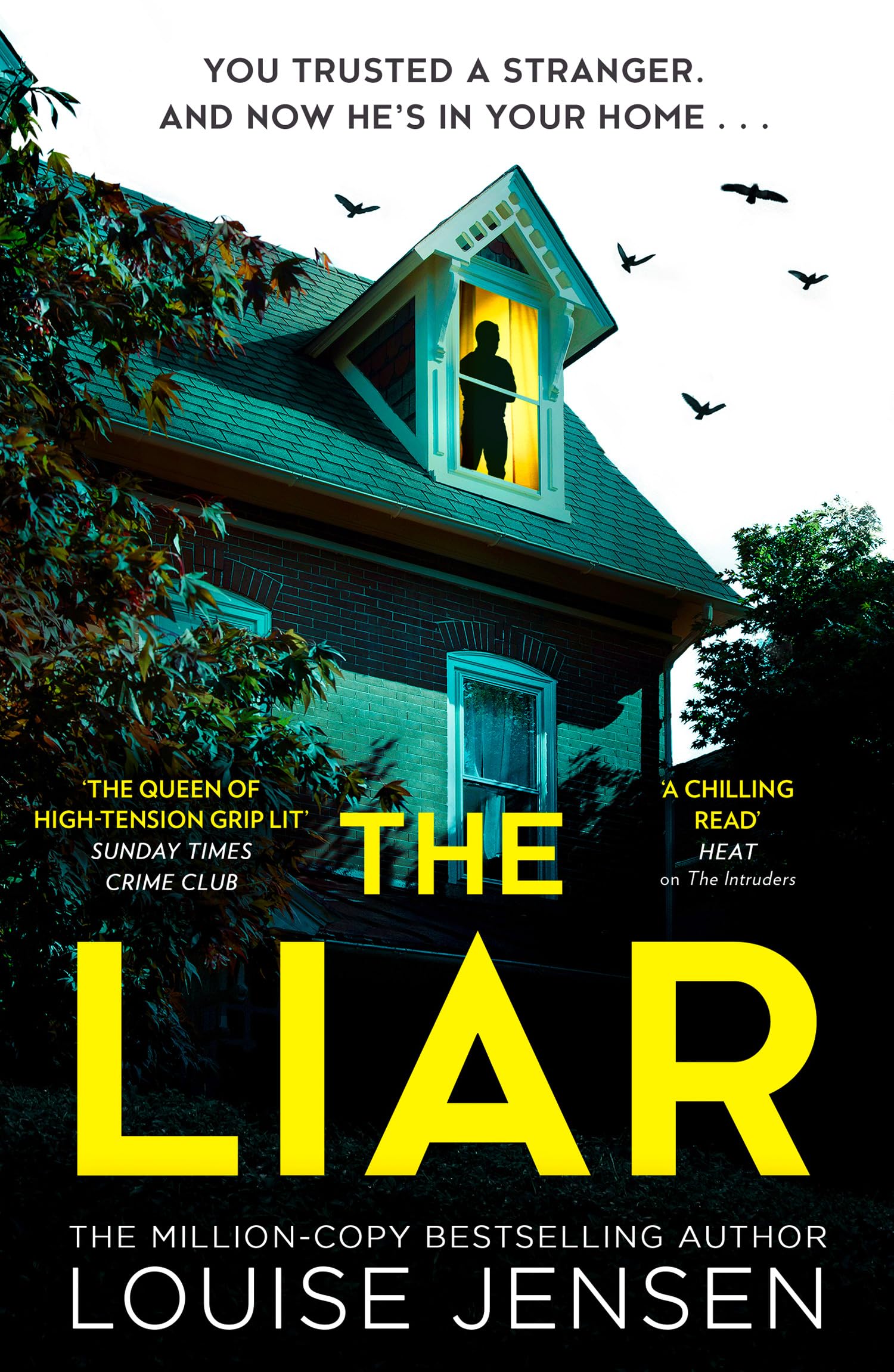 The Liar: An addictive new psychological crime thriller for 2025 from the bestselling author of The Fall and The Intruders