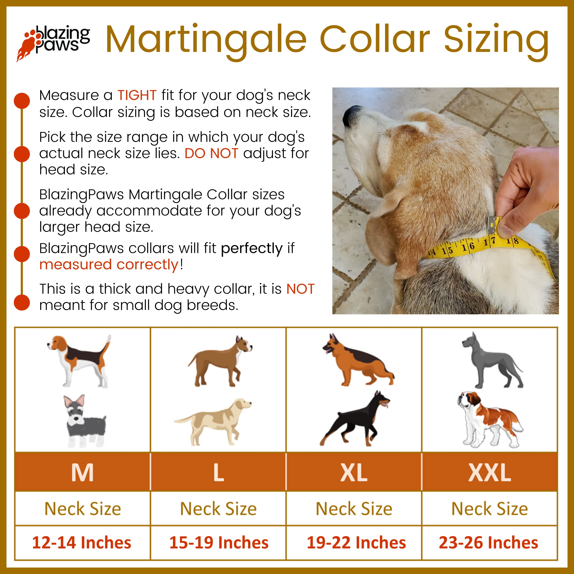 How Do You Measure A Dog For A Martingale Collar