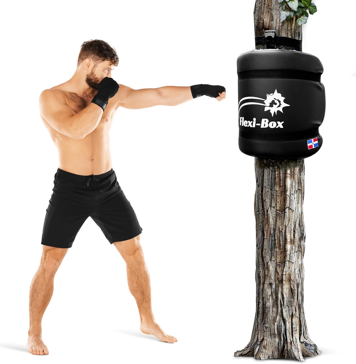 Flexibox Portable Boxing Training Tool – Striker Punching Bag for Combat Practice, Sandbag Pad for Home & Gym